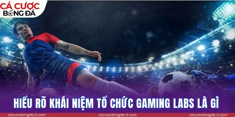 Hiểu rõ khái niệm tổ chức Gaming Labs là gì