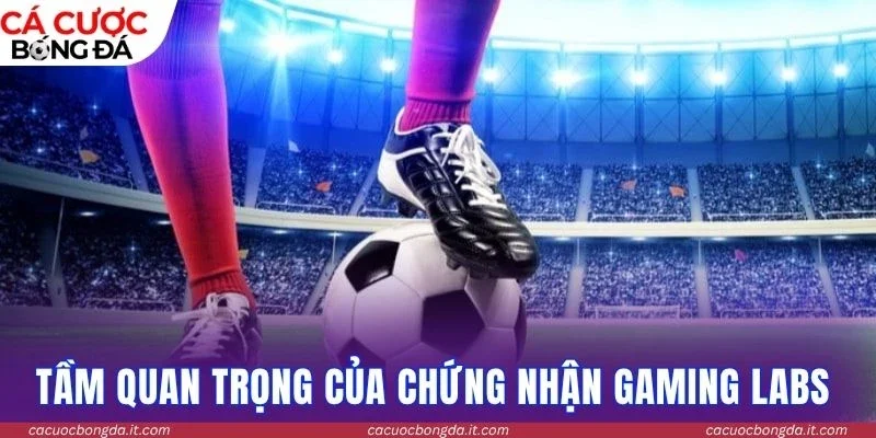 Tầm quan trọng của chứng nhận Gaming Labs